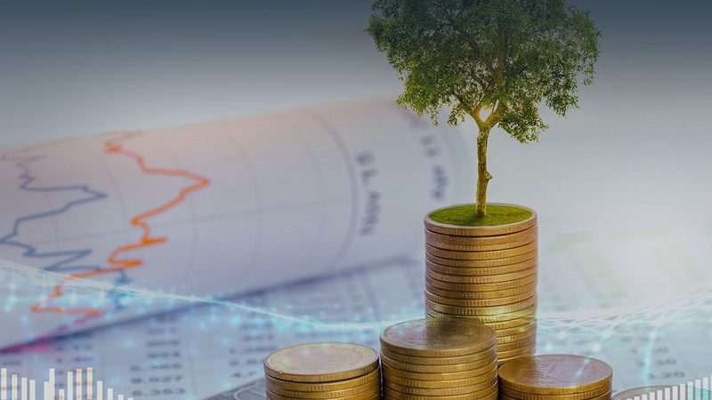 企业培训咨询公司服务流程揭秘：从需求分析到成果交付